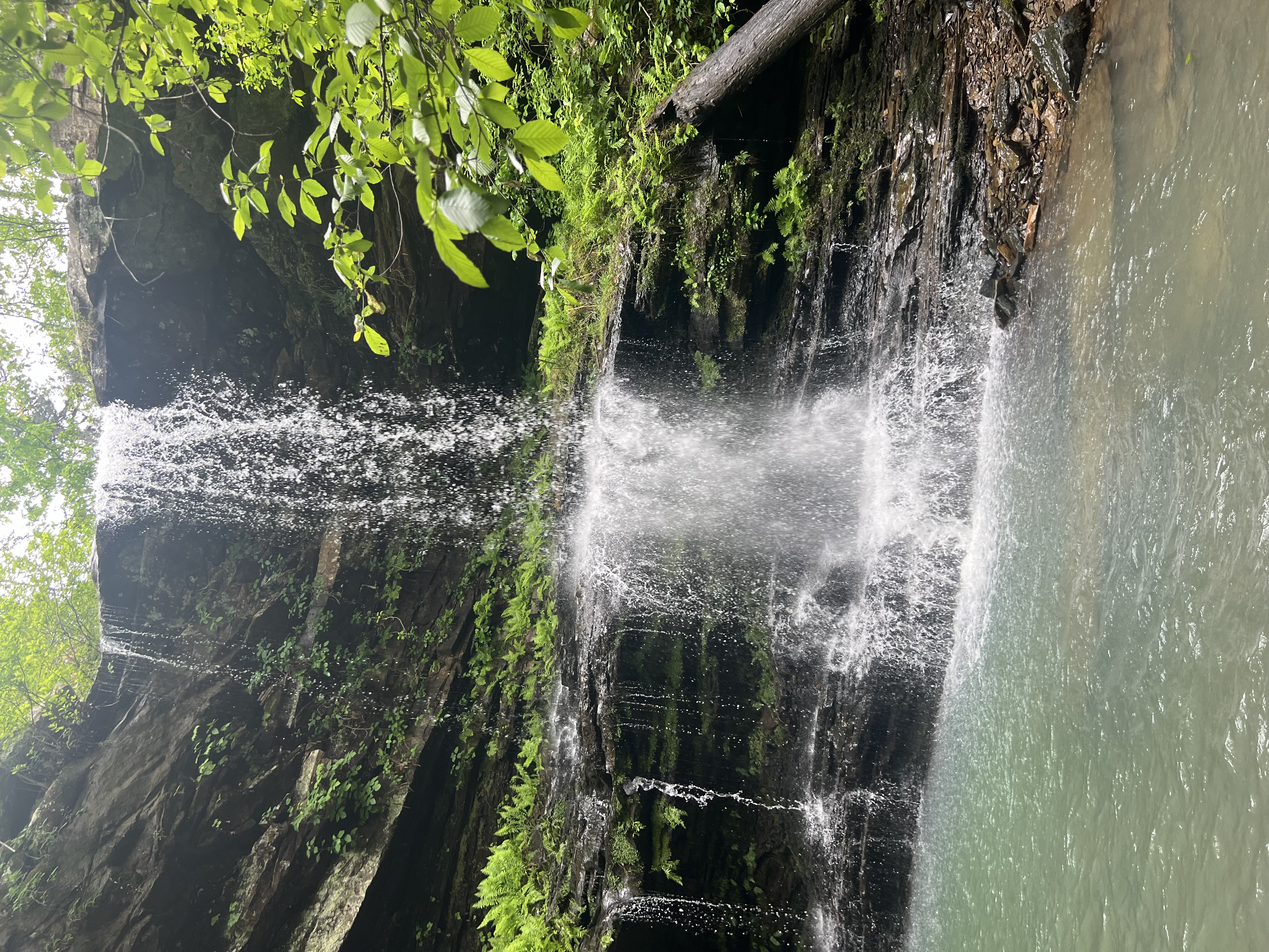 The beautiful Fern Falls